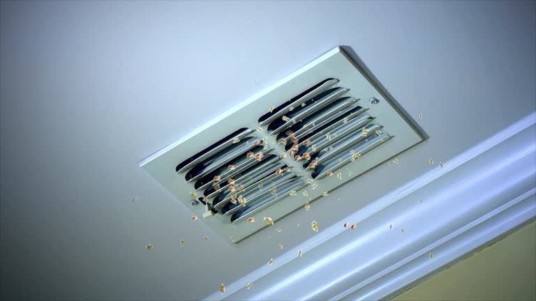 Best Duct Cleaning for Homes  in Saline, MI